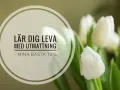 Vita tulpaner och texten "Lär dig leva med utmattning - mina bästa tips". En påminnelse om att ta hand om sig själv, särskilt vid utmattningssyndrom och sjukskrivning.