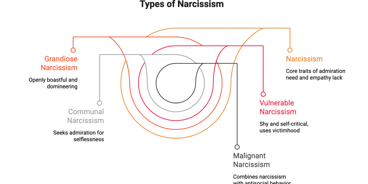 Diagrammet visar olika typer av narcissism: Grandios, Kommunal, Sårbar och Malign. Det ger en visuell förklaring av vad som kan menas med narcissist.