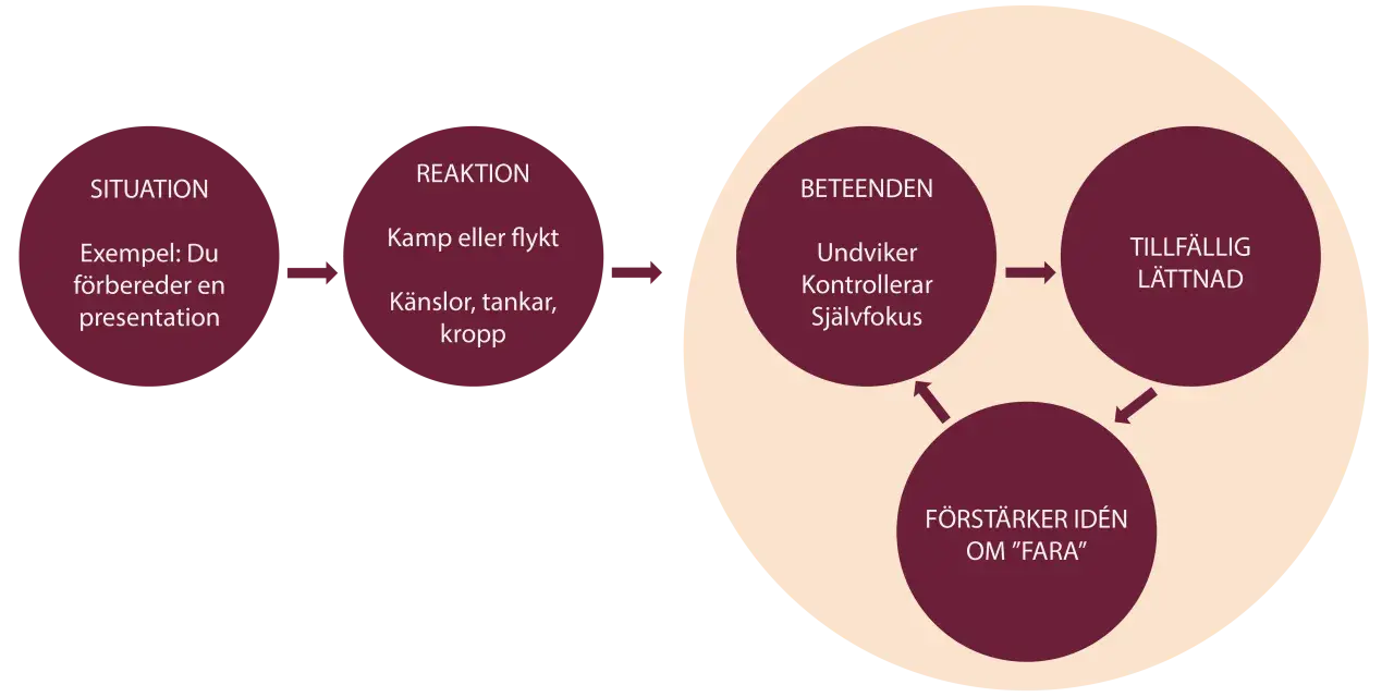 Diagram showing situation, reaction, and behaviors leading to temporary relief and reinforcing fear.
