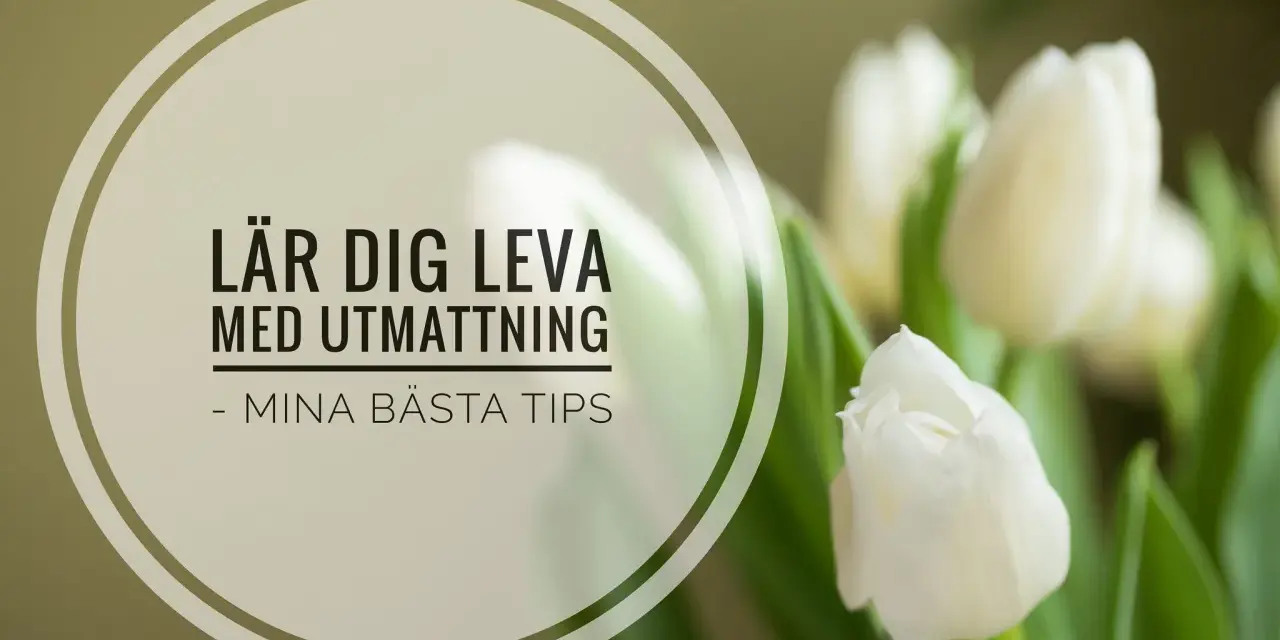 Vita tulpaner och texten "Lär dig leva med utmattning - mina bästa tips". En påminnelse om att ta hand om sig själv, särskilt vid utmattningssyndrom och sjukskrivning.