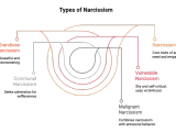 Diagrammet visar olika typer av narcissism: Grandios, Kommunal, Sårbar och Malign. Det ger en visuell förklaring av vad som kan menas med narcissist.