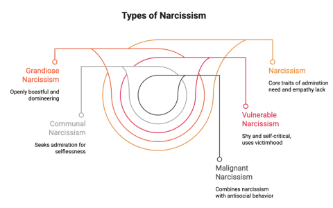 Diagrammet visar olika typer av narcissism: Grandios, Kommunal, Sårbar och Malign. Det ger en visuell förklaring av vad som kan menas med narcissist.