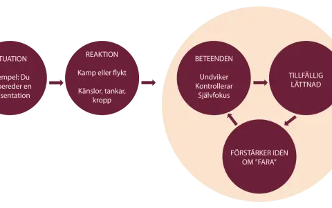 Diagram showing situation, reaction, and behaviors leading to temporary relief and reinforcing fear.