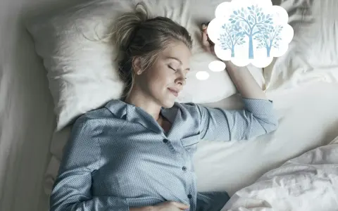 En kvinna sover och drömmer om träd, som en del av en guidad meditation text.