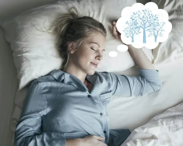 En kvinna sover och drömmer om träd, som en del av en guidad meditation text.