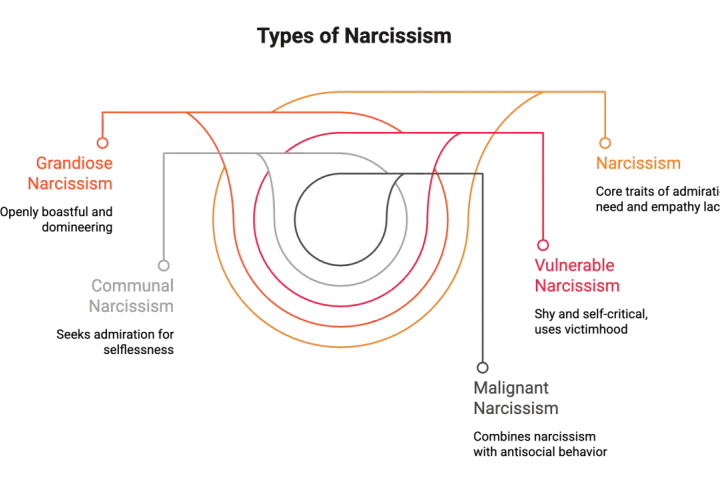 Diagrammet visar olika typer av narcissism: Grandios, Kommunal, Sårbar och Malign. Det ger en visuell förklaring av vad som kan menas med narcissist.