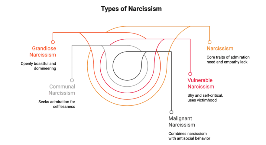 Diagrammet visar olika typer av narcissism: Grandios, Kommunal, Sårbar och Malign. Det ger en visuell förklaring av vad som kan menas med narcissist.