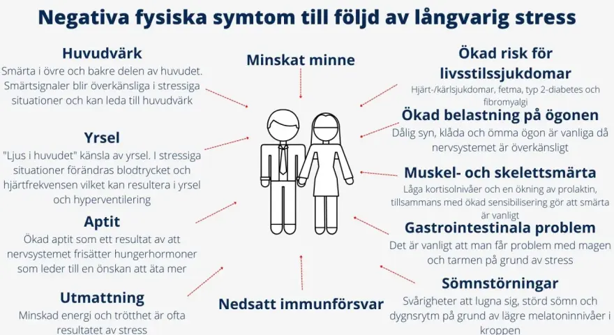 Bilden visar hur långvarig stress kan leda till stressrelaterade sjukdomar som huvudvärk, yrsel, minnesproblem och sömnstörningar.