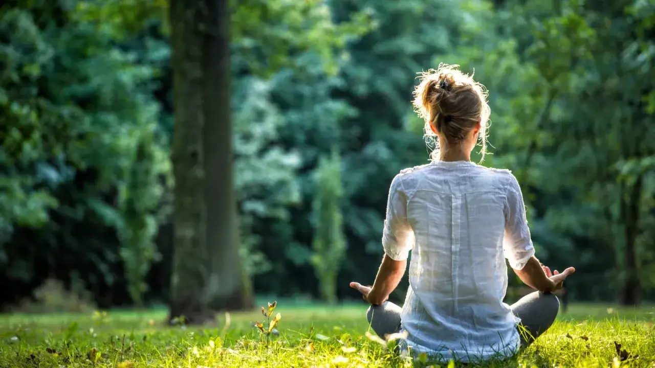En person sitter i gr&auml;set i en skog och ut&ouml;var liggande meditation. Solen lyser genom tr&auml;den.