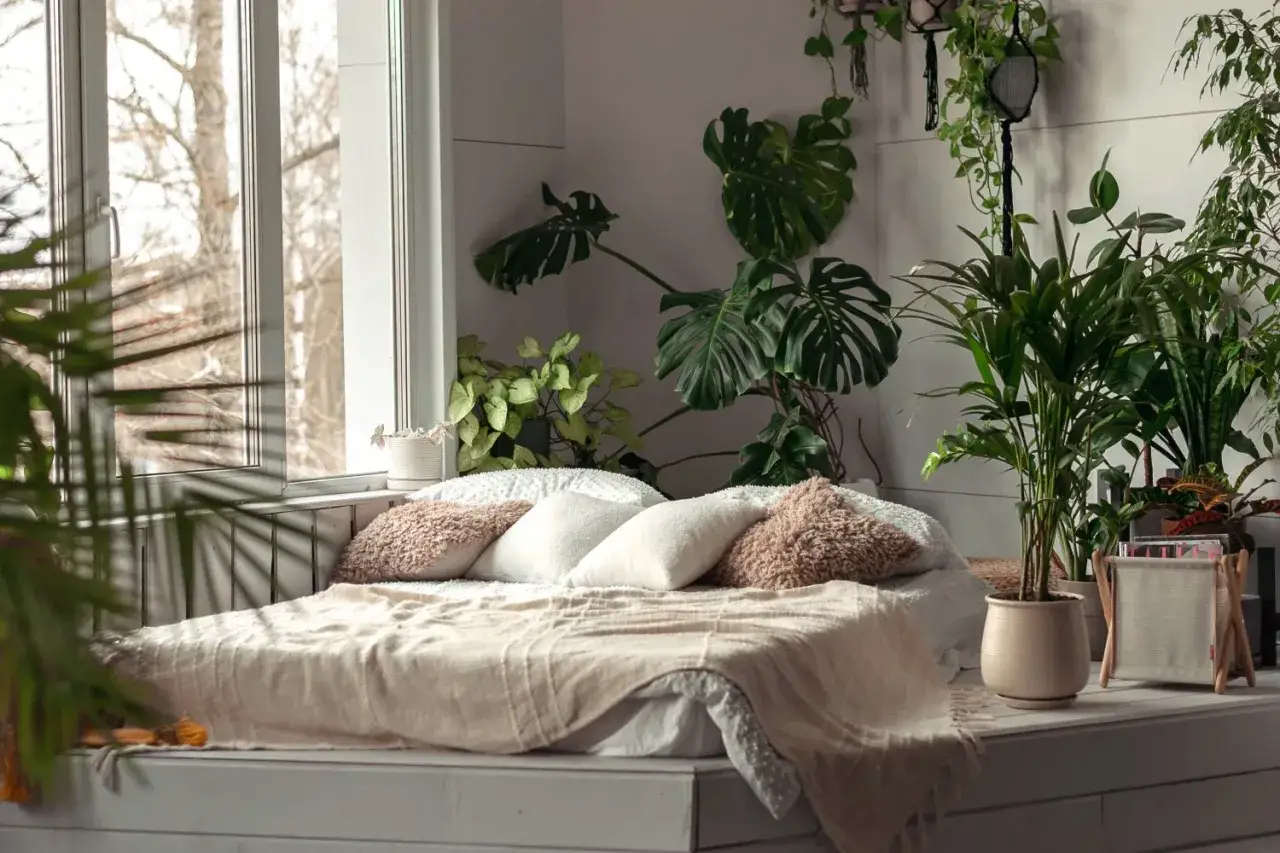 En mysig s&auml;ng med m&aring;nga v&auml;xter runt omkring, perfekt f&ouml;r att meditera hemma. Ljuset fl&ouml;dar in genom f&ouml;nstret.